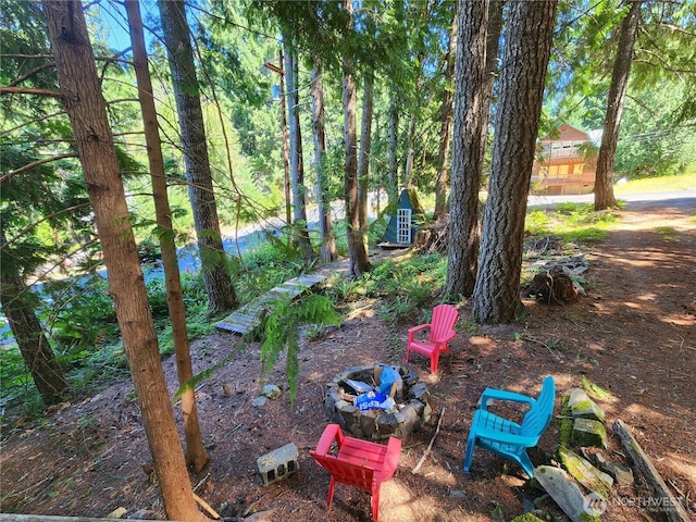 102 Forest Ln, Packwood, WA 98361 - photo 30