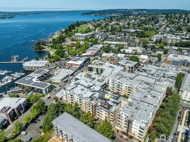 108 2nd Ave S Unit 306, Kirkland, WA 98033 - photo 1