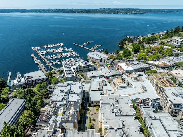108 2nd Ave S Unit 306, Kirkland, WA 98033 - photo 19