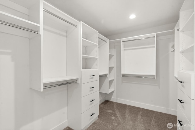 5626 48th Ave SW, Seattle, WA 98136 - photo 18