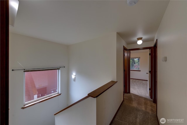 1250 SW Heller Rd Unit C1, Oak Harbor, WA 98277 - photo 23