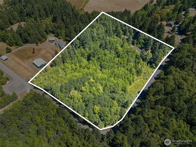 129 Anderson Hill Rd, Chehalis, WA 98532 - photo 6