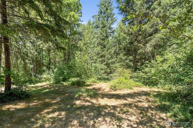 129 Anderson Hill Rd, Chehalis, WA 98532 - photo 37