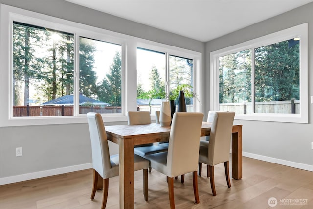 33632 NE 42nd St, Carnation, WA 98014 - photo 15