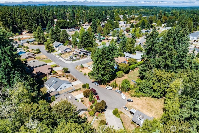 4709 7th Ave NE, Olympia, WA 98516 - photo 38