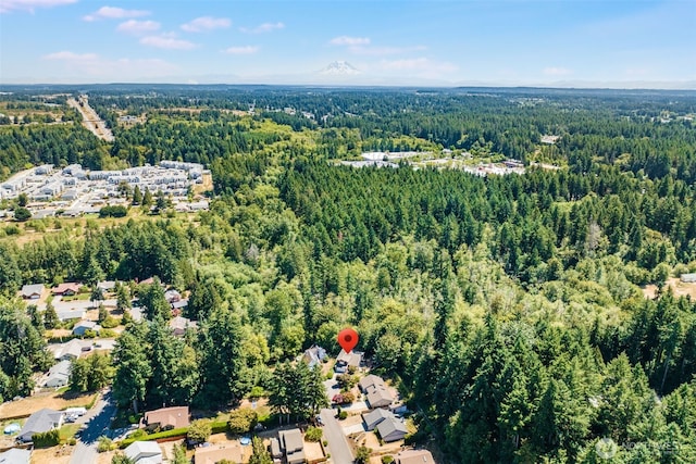 4709 7th Ave NE, Olympia, WA 98516 - photo 39