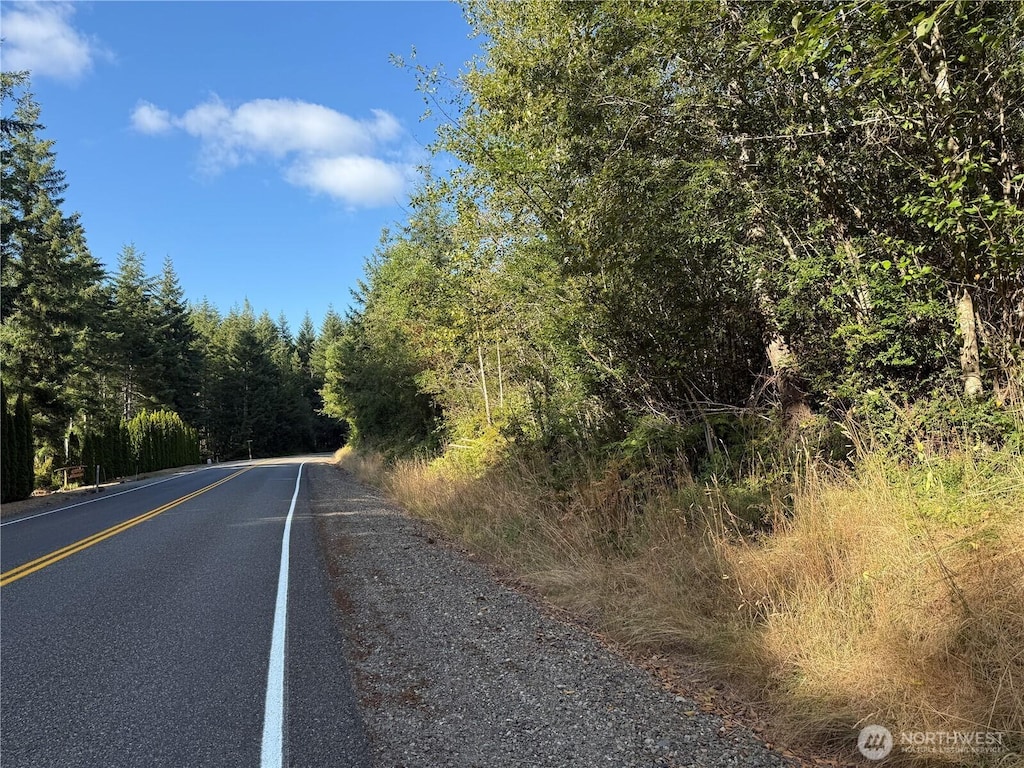 1552LTS1 E Trails End Dr, Belfair, WA 98528 - photo 3