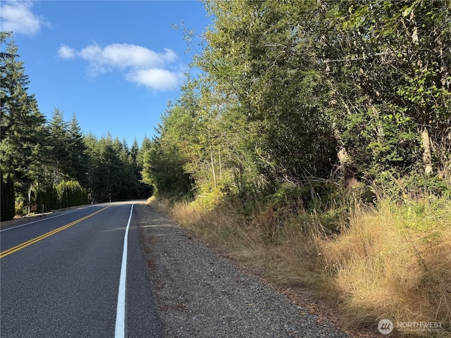 1552LTS1 E Trails End Dr, Belfair, WA 98528 - photo 3