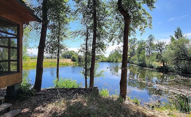 133 Woodhouse Loop, Ellensburg, WA 98926 - photo 4