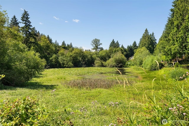 4411 35th Ave, Gig Harbor, WA 98335 - photo 32
