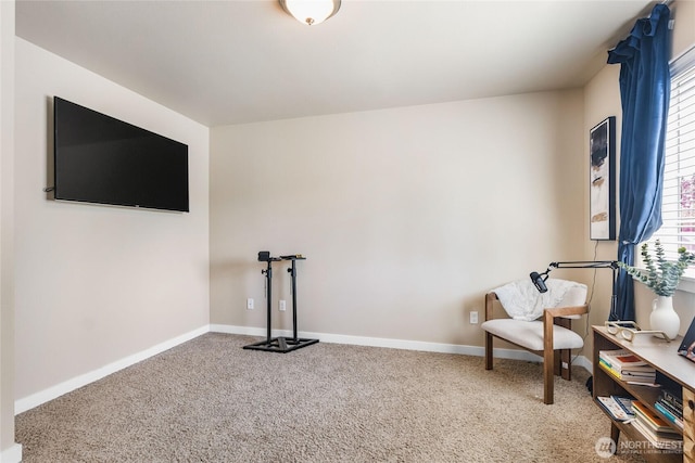 9343 Prairie Wind St SE, Yelm, WA 98597 - photo 23