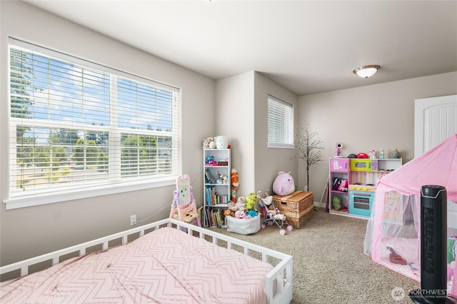 9343 Prairie Wind St SE, Yelm, WA 98597 - photo 25