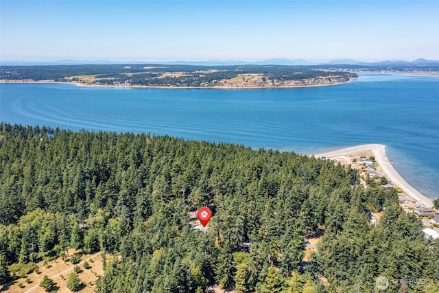 311 Rosewood Ct, Coupeville, WA 98239 - photo 4