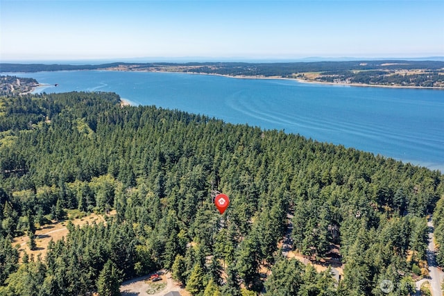 311 Rosewood Ct, Coupeville, WA 98239 - photo 5