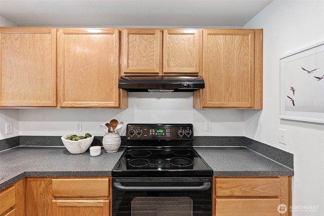 13405 105th Ave NW, Gig Harbor, WA 98329 - photo 11
