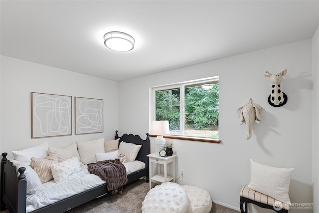 13405 105th Ave NW, Gig Harbor, WA 98329 - photo 14