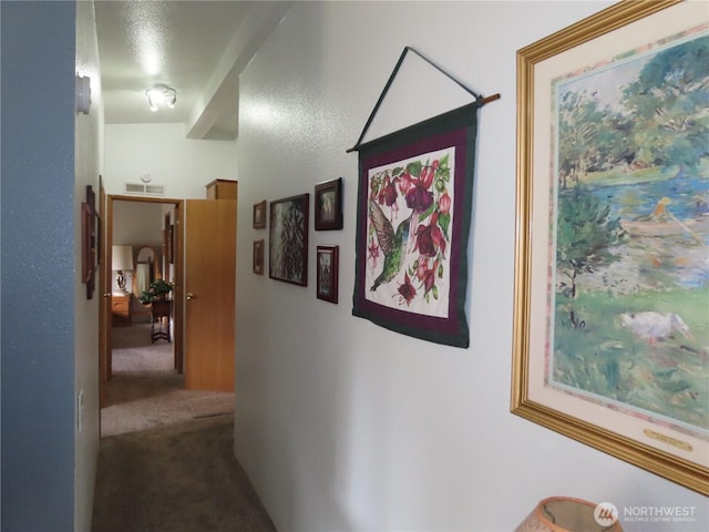864 Hart St, Grayland, WA 98547 - photo 30