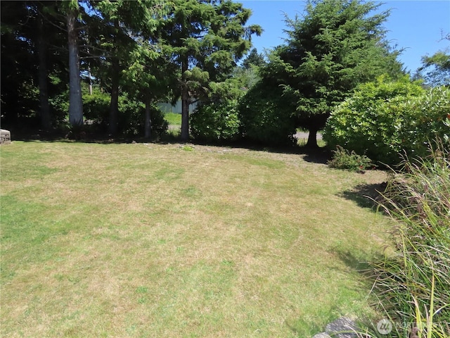 864 Hart St, Grayland, WA 98547 - photo 10