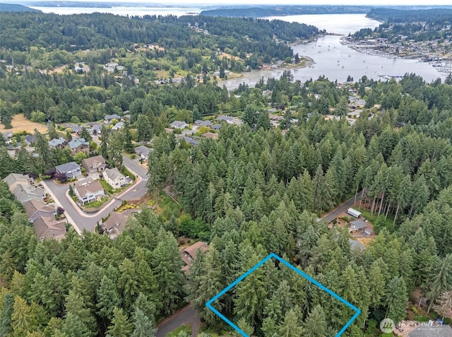 9910 40th Avenue Ct, Gig Harbor, WA 98332 - photo 6