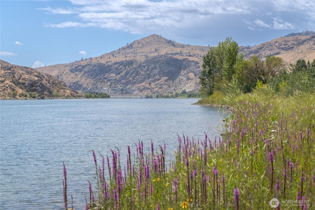 24888 US Highway 97, Chelan, WA 98816 - photo 3