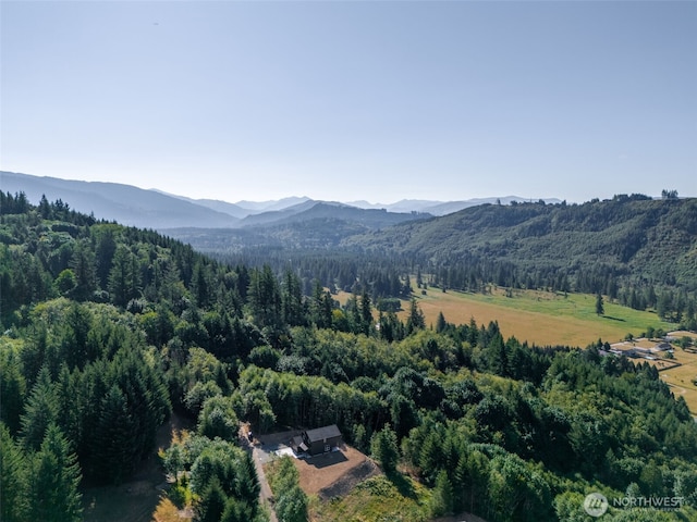 292 Central Valley Dr, Ariel, WA 98603 - photo 38