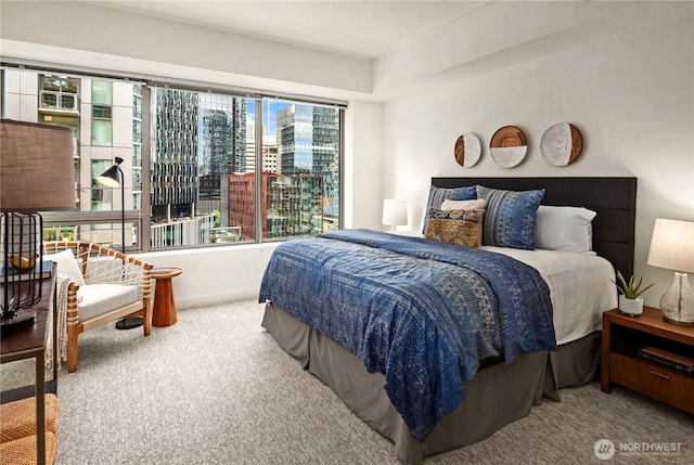 900 Lenora St Unit W901, Seattle, WA 98121 - photo 17