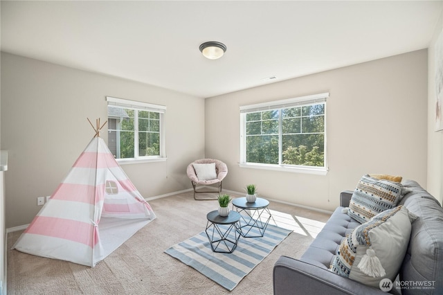 22819 41st Ave SE, Bothell, WA 98021 - photo 27