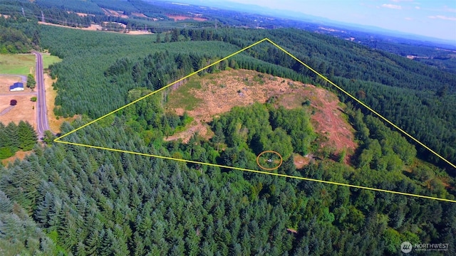 0 Sears Rd, Winlock, WA 98596 - photo 4