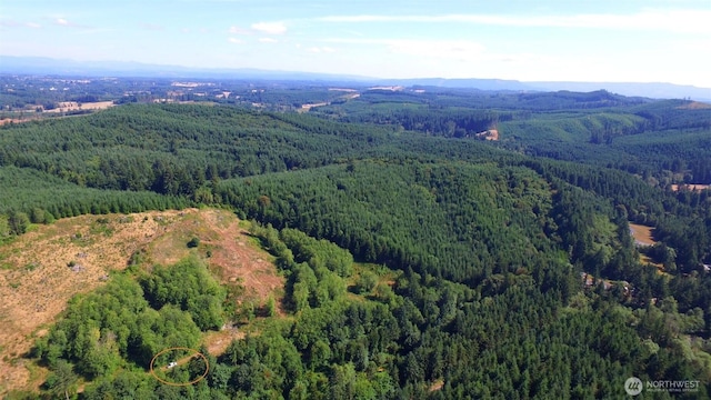0 Sears Rd, Winlock, WA 98596 - photo 10