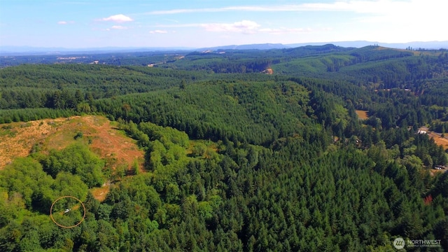 0 Sears Rd, Winlock, WA 98596 - photo 16