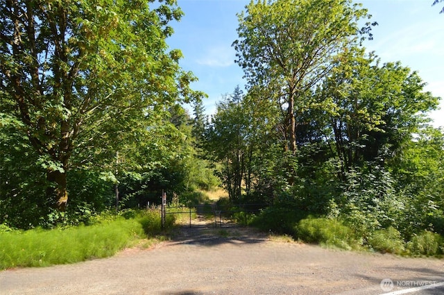 0 Sears Rd, Winlock, WA 98596 - photo 23