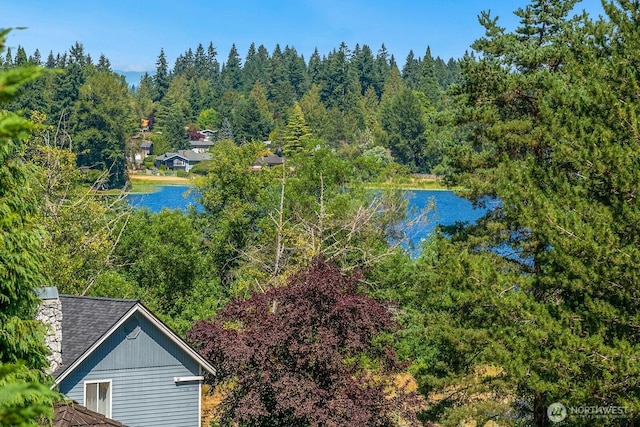 15638 SE 24th St, Bellevue, WA 98008 - photo 13