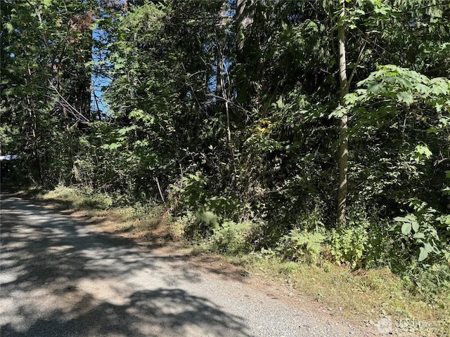 23024 Candy Rd SE, Yelm, WA 98597 - photo 6
