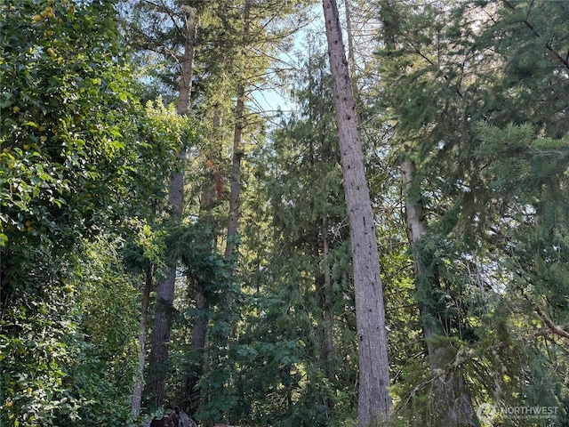 23024 Candy Rd SE, Yelm, WA 98597 - photo 4