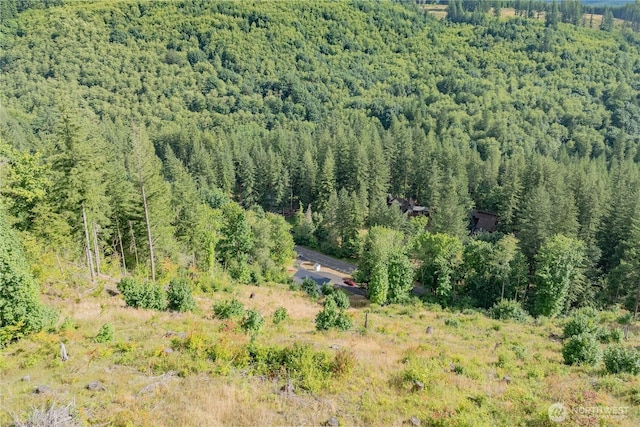 38118 NE Sunset Falls Dr, Yacolt, WA 98675 - photo 34