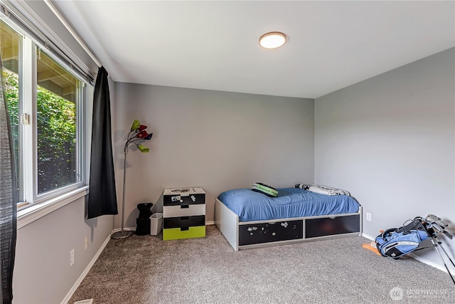 14711 SE 172nd Pl, Renton, WA 98058 - photo 17