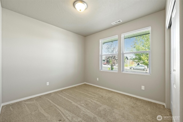 3616 Pintail Ln, Pasco, WA 99301 - photo 17