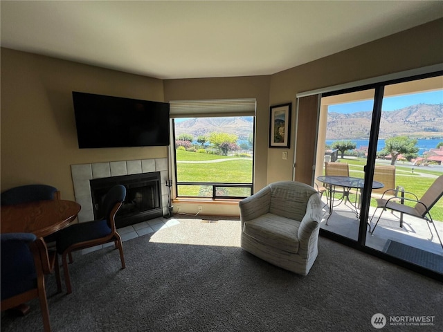 100 Lake Chelan Shores Dr Unit 17-4P, Chelan, WA 98816 - photo 23