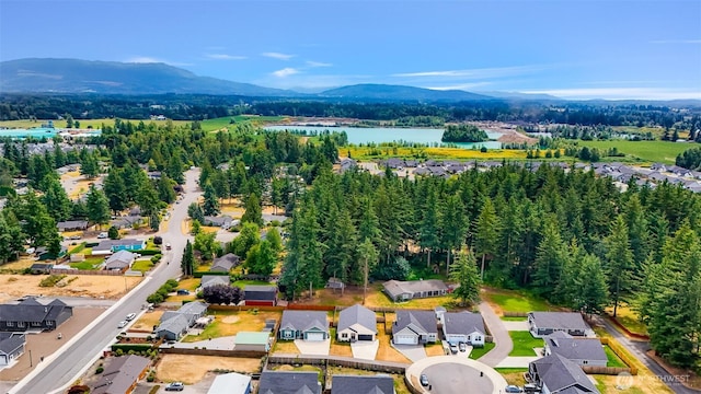 1136 Falcon Ct, Everson, WA 98247 - photo 34
