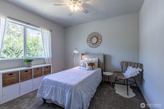 10080 185th Ave E, Bonney Lake, WA 98391 - photo 27