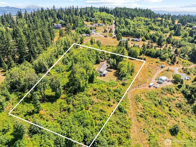 3287 Green Mountain Rd, Kalama, WA 98625 - photo 2