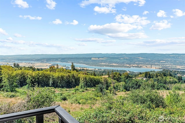 3287 Green Mountain Rd, Kalama, WA 98625 - photo 23