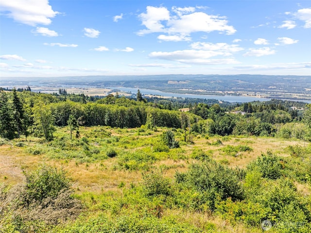 3287 Green Mountain Rd, Kalama, WA 98625 - photo 36