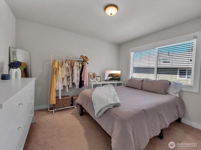 1075 SW 12th St, North Bend, WA 98045 - photo 24