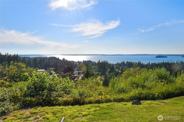 931 Karen Ann Dr, Camano Island, WA 98282 - photo 9