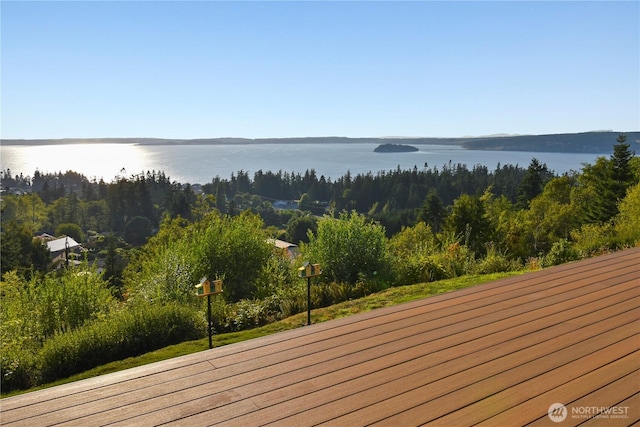 931 Karen Ann Dr, Camano Island, WA 98282 - photo 37