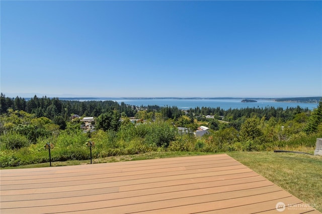 931 Karen Ann Dr, Camano Island, WA 98282 - photo 38