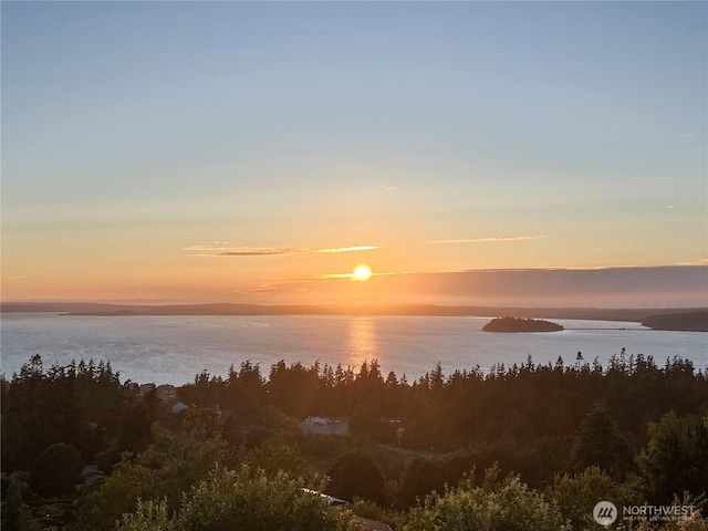 931 Karen Ann Dr, Camano Island, WA 98282 - photo 40