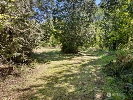 18605 72nd Street Ct SW, Longbranch, WA 98351 - photo 4