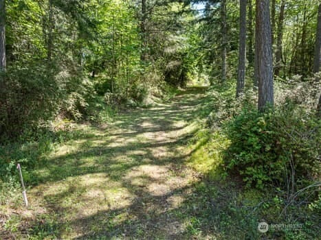 18605 72nd Street Ct SW, Longbranch, WA 98351 - photo 6